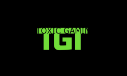 Toxig Gaming Team