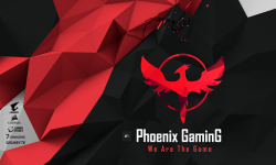 Phoenix Team Elite