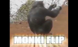 MONKE FLIP