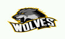 Elite Wolves Good