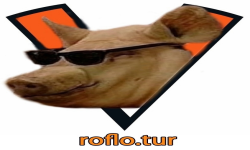 m1xotimpizzu