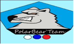 PolarBear`Team