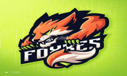 TeamFoxxes