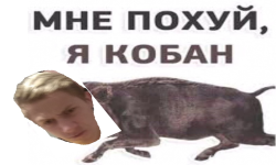 KABANIb X VITALIK