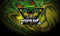 Brave Vipers