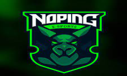 Noping Esports