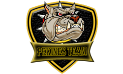 Pekine`s Team`s