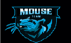 Mouse Team