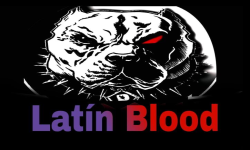 Latin blood