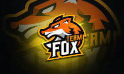 team fox