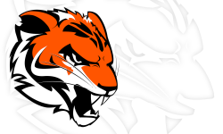 RIT Orange