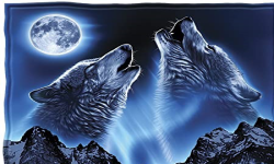 LOBOS DEL DESIERTO