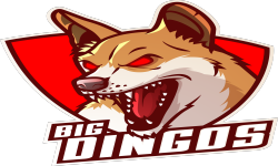 Big Dingoz