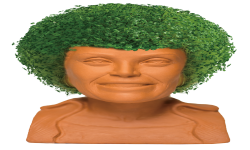 Chia Pet Blanche