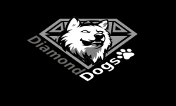 diamond dogs