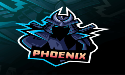 team PHOENIX