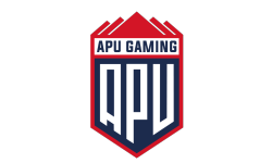 APU Gaming