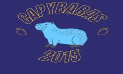 Capybaras