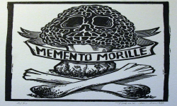 Memento Morille