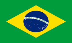 team brasil