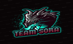 Team Sora