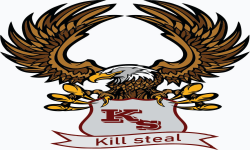 Kill Steal