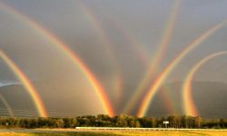 Rainbow 5 Siegers