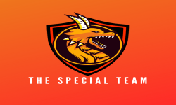 THE SPECIAL TEAM