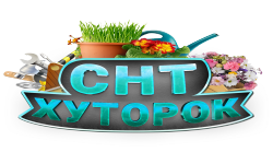 СлабостьНеуклюжестьТупость