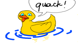 Go Quack Go