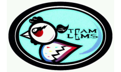 Team Lems