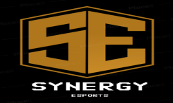 SYNERGY ESPORTS