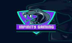 INFINITY GAMING 