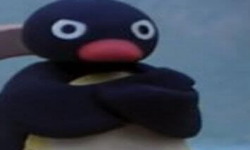 MadPingu