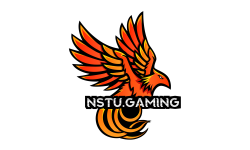 NSTU.Gaming - НГТУ
