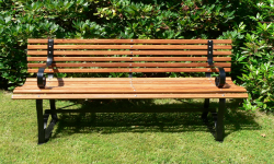 The Bench