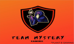 Team MysterY