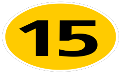 Одна за 15