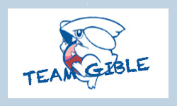 Team Gible