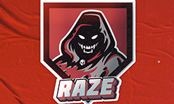 Team RAZE