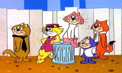 La Pandilla de Señor Gato