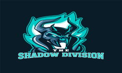 The SHADOW DIVISION