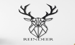 reindeer