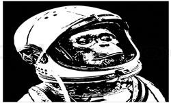 Space M0nkeys