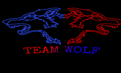 Team Wolf
