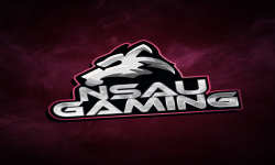 NSAUGAMING3.QQW