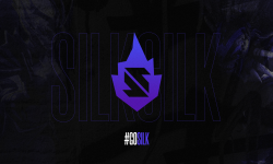 Silk