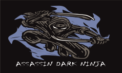Assasin Dark Ninja