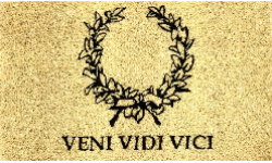 ''Veni,vidi,vici''