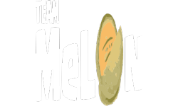 _MeLoN'_